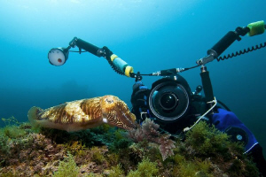 PHOTOGRAPHER AT WORK by Roland Bach 